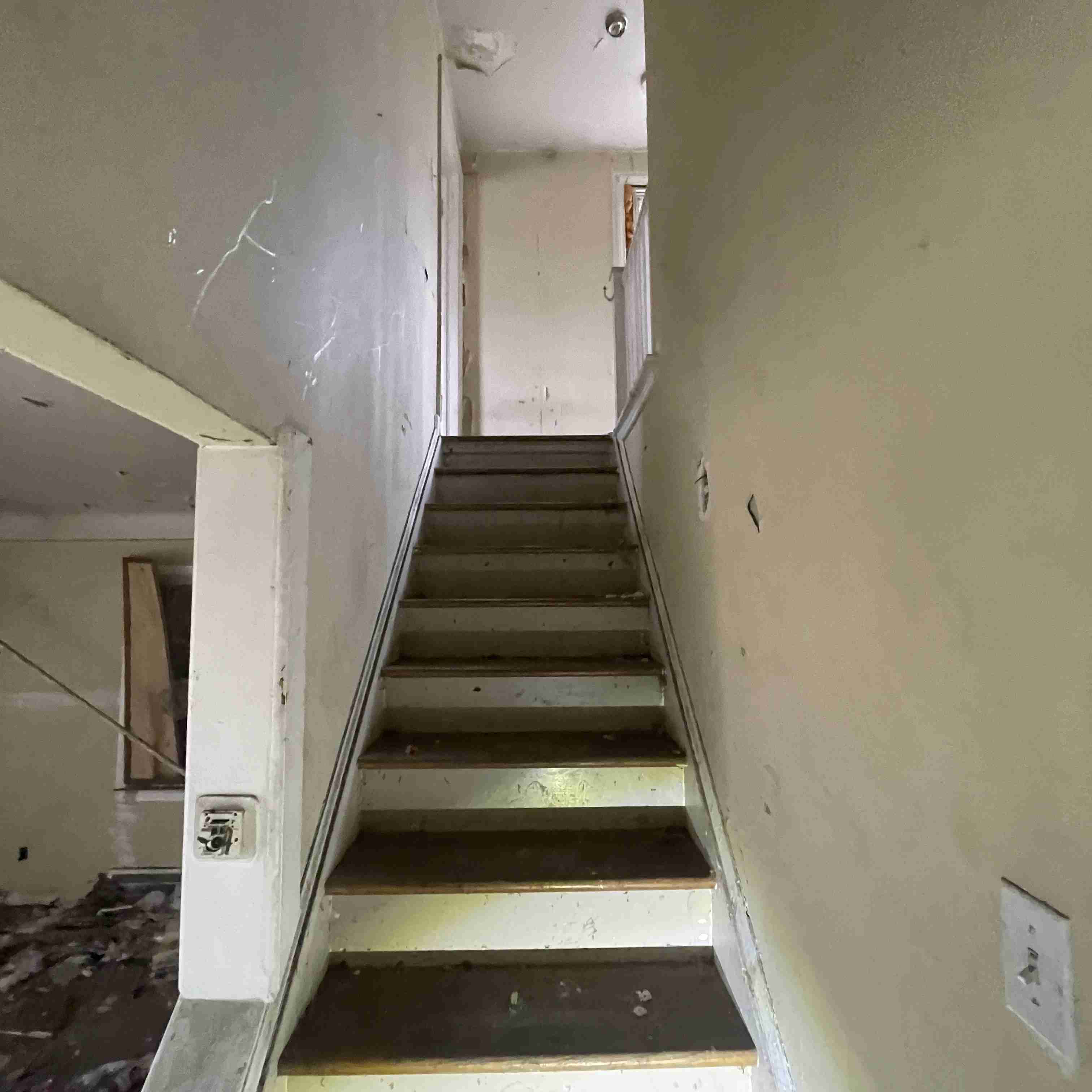 20015 Schoenherr (40).jpg